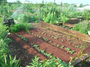 AnySizeAnywhereEdible_Pg68