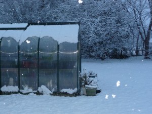 Had to believe we're 5 days into spring!