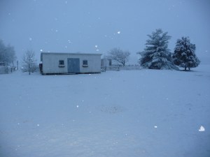 Behind the shed is the garden. Agghh!