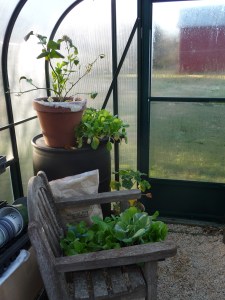 55-gal passive heater and chair doing double duty