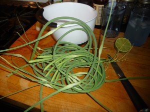 Scapes before clipping off arrowhead tip