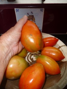 Supersauce and Big Mama tomatoes