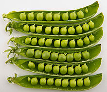 Shelling peas