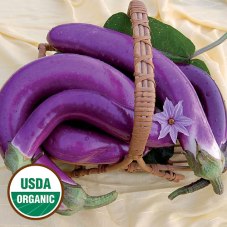Pingtung-long eggplant courtesy of Seed Savers Exchange